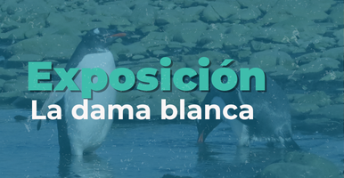 Exposición | La dama blanca
