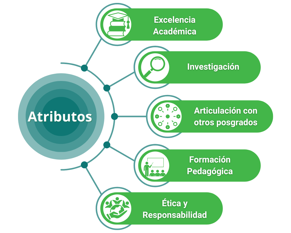 Infográfico con los atributos:  Excelencia, Investigación, Articulación, Formación Pedagógica y ética y responsabilidad.