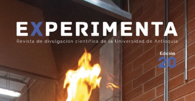 Revista Experimenta edicion 20