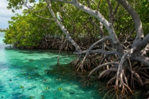 Imagen representativa del programa