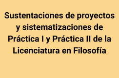Sustentacion practicas
