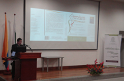udea gicco