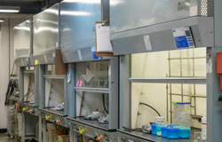 Servicios extensión