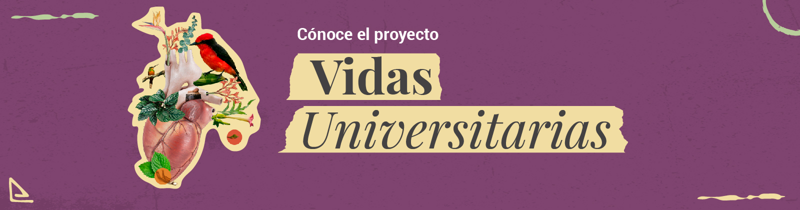 Vidas Universitarias