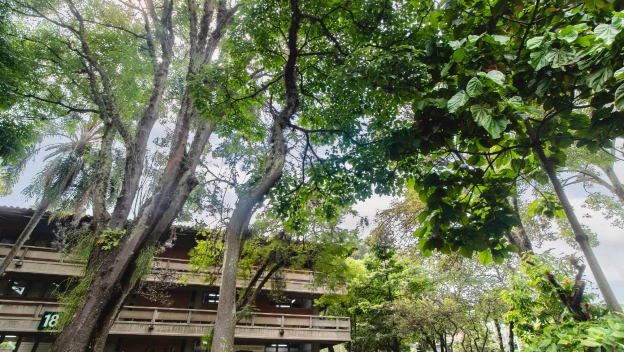 Un nuevo enfoque para entender y cuidar el entorno dentro de la Universidad