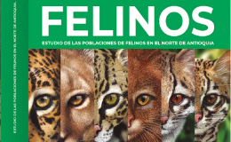 Extensión y docencia