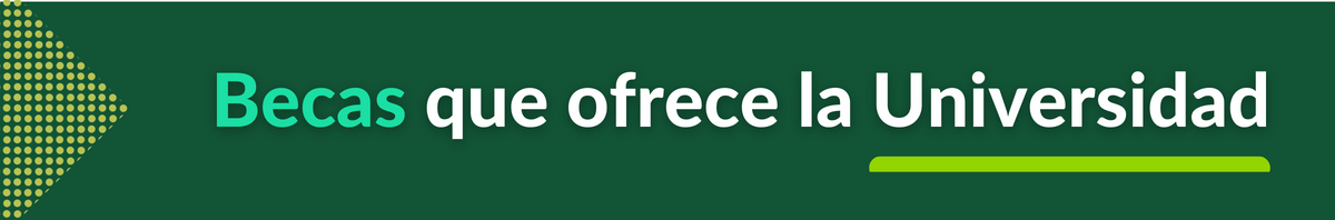 Preguntas frecuentes sobre las becas que ofrece la Universidad de Antioquia