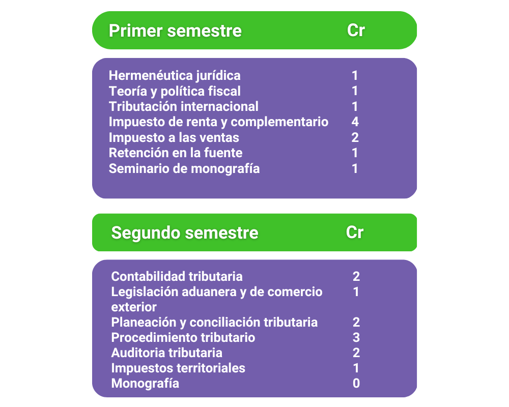 El programa ofrece una formación integral en temas clave de la tributación, con énfasis en la teoría y la práctica, y un enfoque en la interpretación jurídica, la política fiscal, y la tributación internacional.