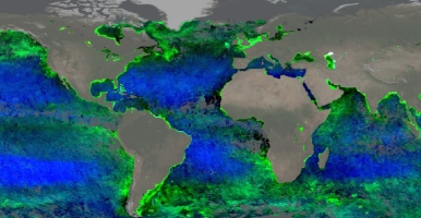 Fitoplancton desde el espacio: más visible que nunca