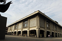 Producción científica