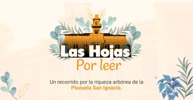 Las hojas por leer: Los árboles de La Plazuela