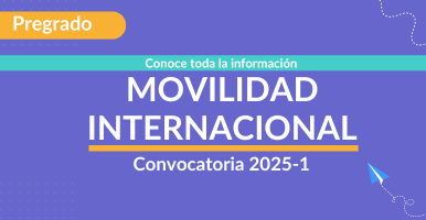 Movilidad pregrado internacional