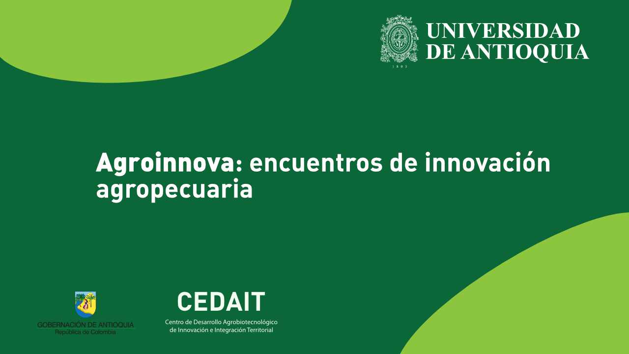 cedait udea