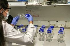 La universidad de Antioquia y el departamento de Boyacá unidos 