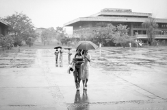 Memoria Viva UdeA: Archivo Fotográfico   