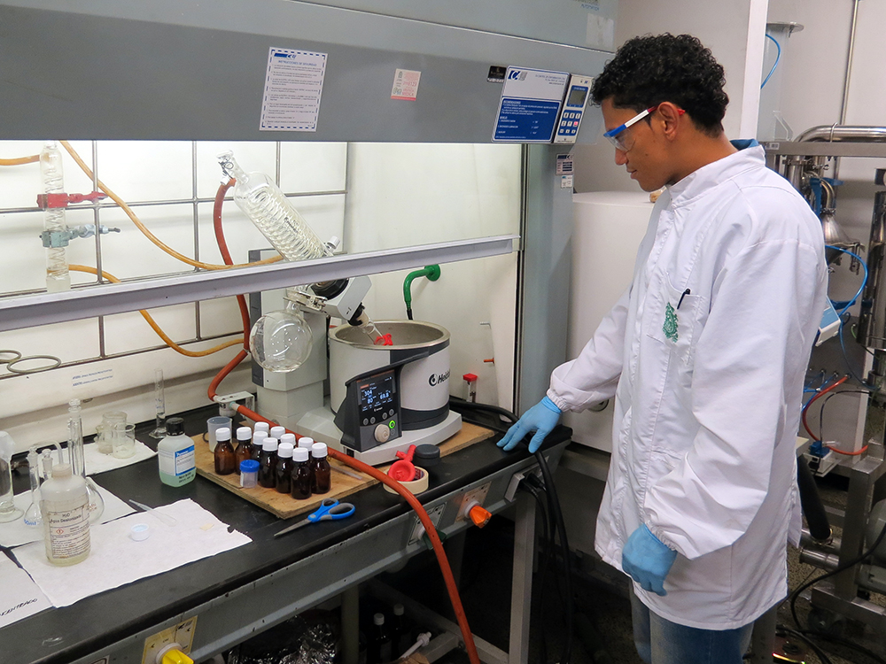 Producción científica