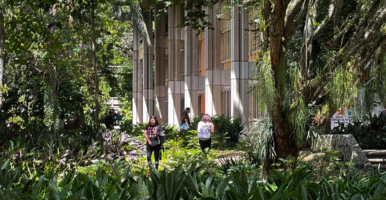 Línea Alma te conecta con tu bienestar