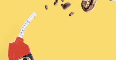 Cafeína para descontaminar combustibles