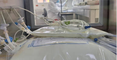 A guide to the insects and fungi of Porce II and Porce III