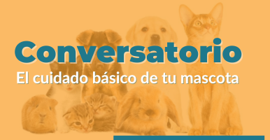 Imagen Conversatorio: El cuidado básico de tu mascota