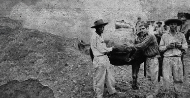 Las razones para la paz. Retrospectiva de La violencia en Colombia. Estudio de un proceso social, 1962