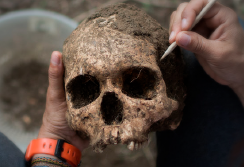 Antropología forense en el marco de la guerra de baja intensidad. Enfoques y perspectivas para Colombia