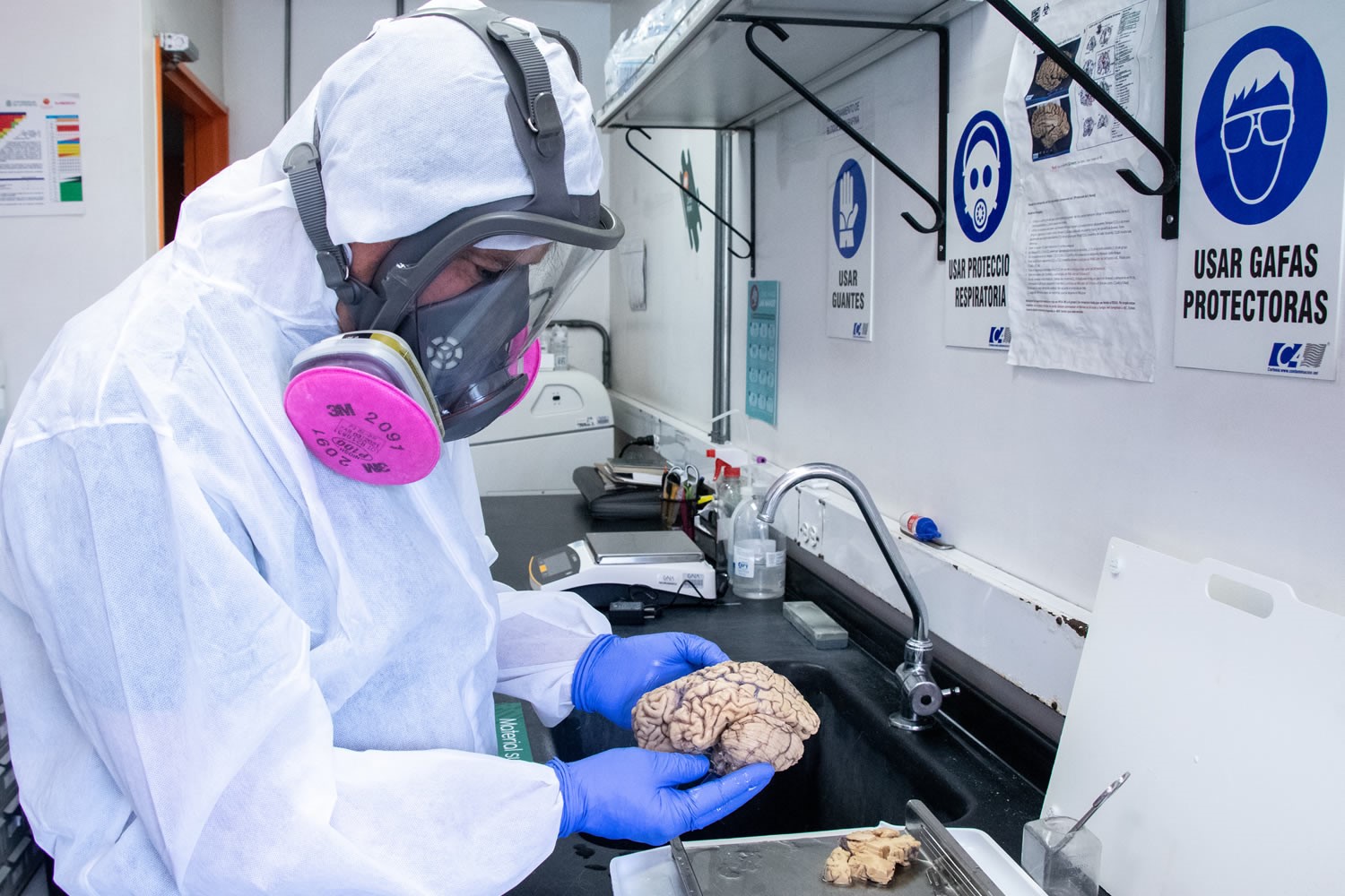 The GNA of UdeA has a neurobank