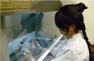 producción científica