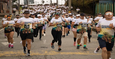 ECONSONRUN 2024