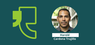 Columnista de opinión