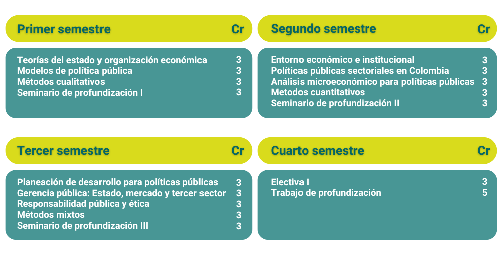 Cursos sobre teorías del Estado, modelos y análisis de políticas públicas, métodos cualitativos y cuantitativos, así como seminarios de profundización, electivas y trabajo final.