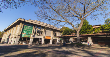 Servicio de consulta presencial en la Biblioteca Carlos Gaviria Díaz